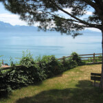 lavaux-1003977_1920