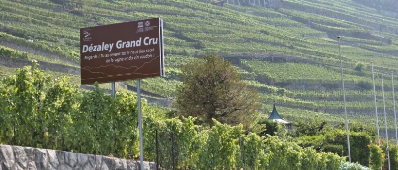 Neue Informationstafeln im Lavaux